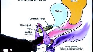 Squirting Tutorial 2 by Mr PussyLicking, where he shares his expertise on how to achieve intense female orgasms through passionate pussy licking and stimulation, aligning with his genuine passion for fulfilling female pleasure, as seen in his bio where he
