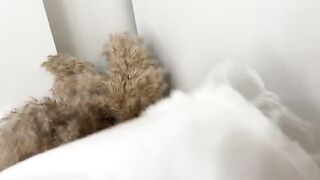 Sniffed panties and fucked curva in a wet pussy, raw passion unleashed