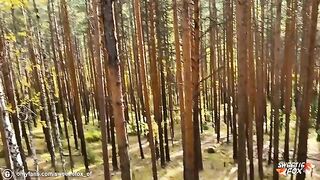 Girl was fucked in public by a guy in the woods, she loved it