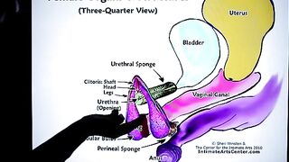 How to Squirt? The ultimate guide by Mr PussyLicking, featuring intense pussy licking and explosive orgasms