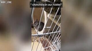 A young couple has sex in a capsule hostel and then travel to the city
