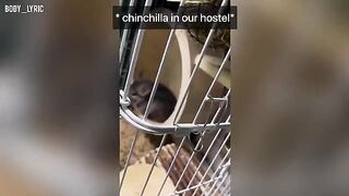 A young couple has sex in a capsule hostel and then travel to the city