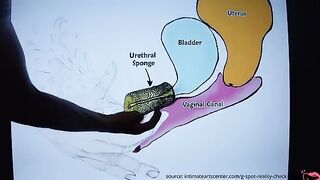 How to squirt like a pro with this ultimate tutorial!