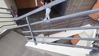 FMM threesome with Chilean model and perfect ass in elevator and toilet
