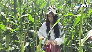 A security guard issued a ticket to a girl in the cornfield for being a thief
