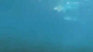 Sex on the bottom of the sea with an aqualangist