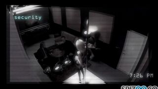A stripper worked in a private setting, entertaining with erotic dance and more
