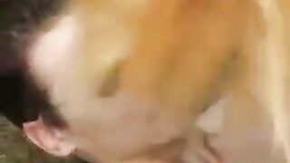 Cute little girl was just fucking in the park with a guy