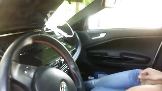 A young beauty got her pussy wet while fucking in the car
