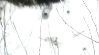 Babe fucked in snow on the street episode