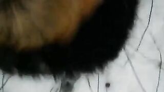 Babe fucked in snow on the street episode