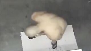 A spy camera in the shower caught a naked man, creating a peep show