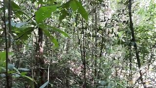 Fresh air and her warm lips on my cock in POV