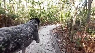 A hot couple has fun outdoors in the jungle, just like Sparks Go Wild