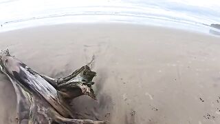 The beach is always wet - from the water and because of it